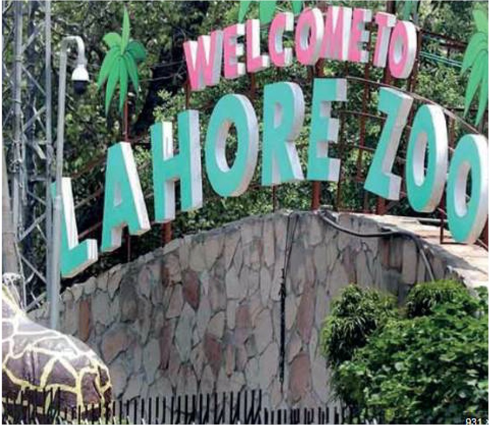 Entrance And Parking Management System, Lahore Zoo, Pakistan