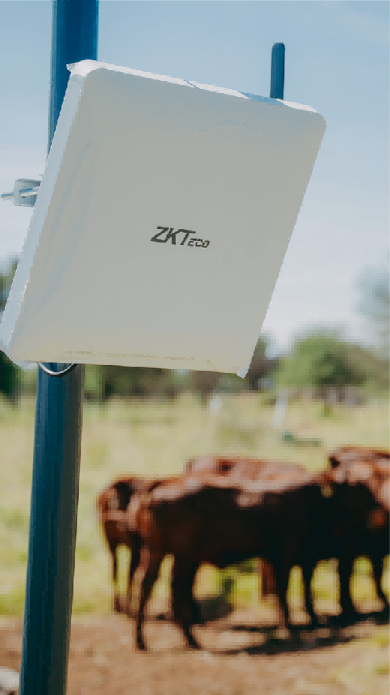 ZKTeco Long Distance Reading Solutions Empowering Famous Livestock Management Solutions Provider for Intelligent Livestock Management