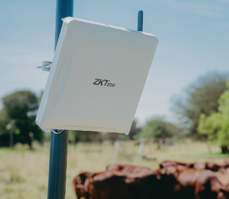 ZKTeco Long Distance Reading Solutions Empowering Famous Livestock Management Solutions Provider for Intelligent Livestock Management